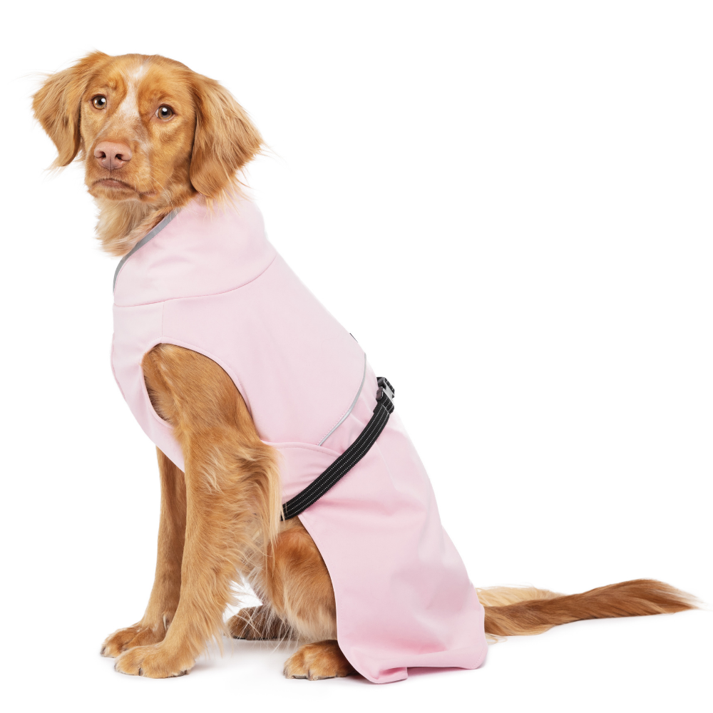 Gold Paw Series – Engroshandel Regnovertræk - Hund – RainPaw II hunderegnjakke – opdateret pasform og stil1