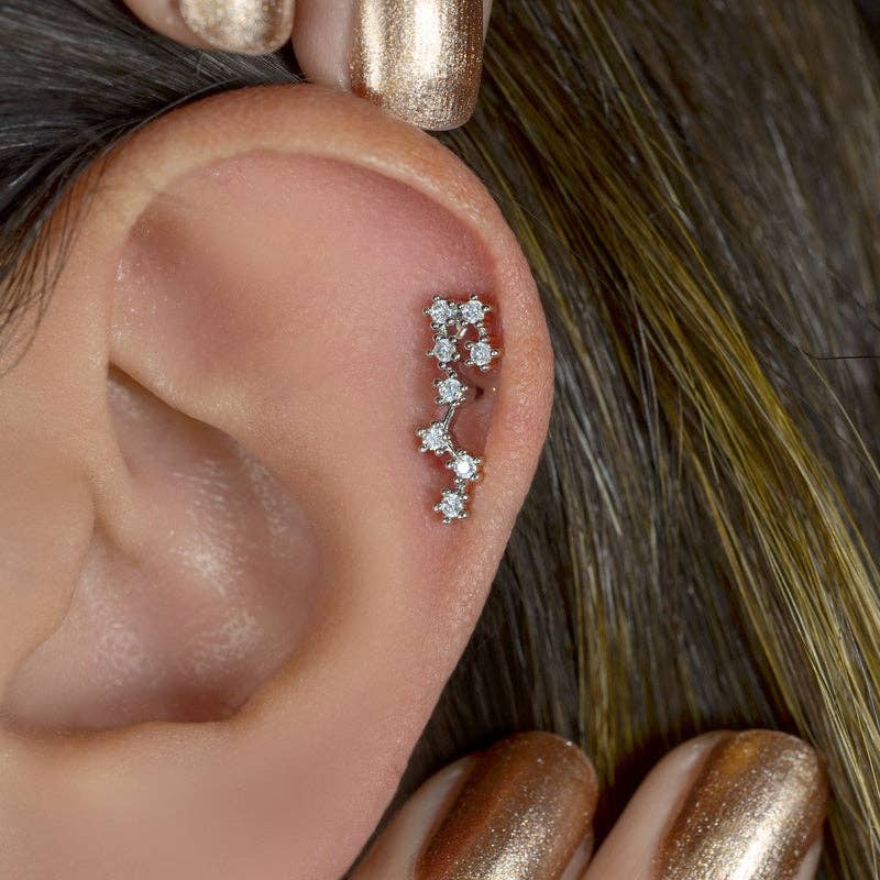 StockJWL - Wholesale Stud/Post Earrings - 12 Zodiac Earrings, Constellation Stud Earring Stud Piercing Tragus Helix Lobe and Cartilage Silver And Gold46