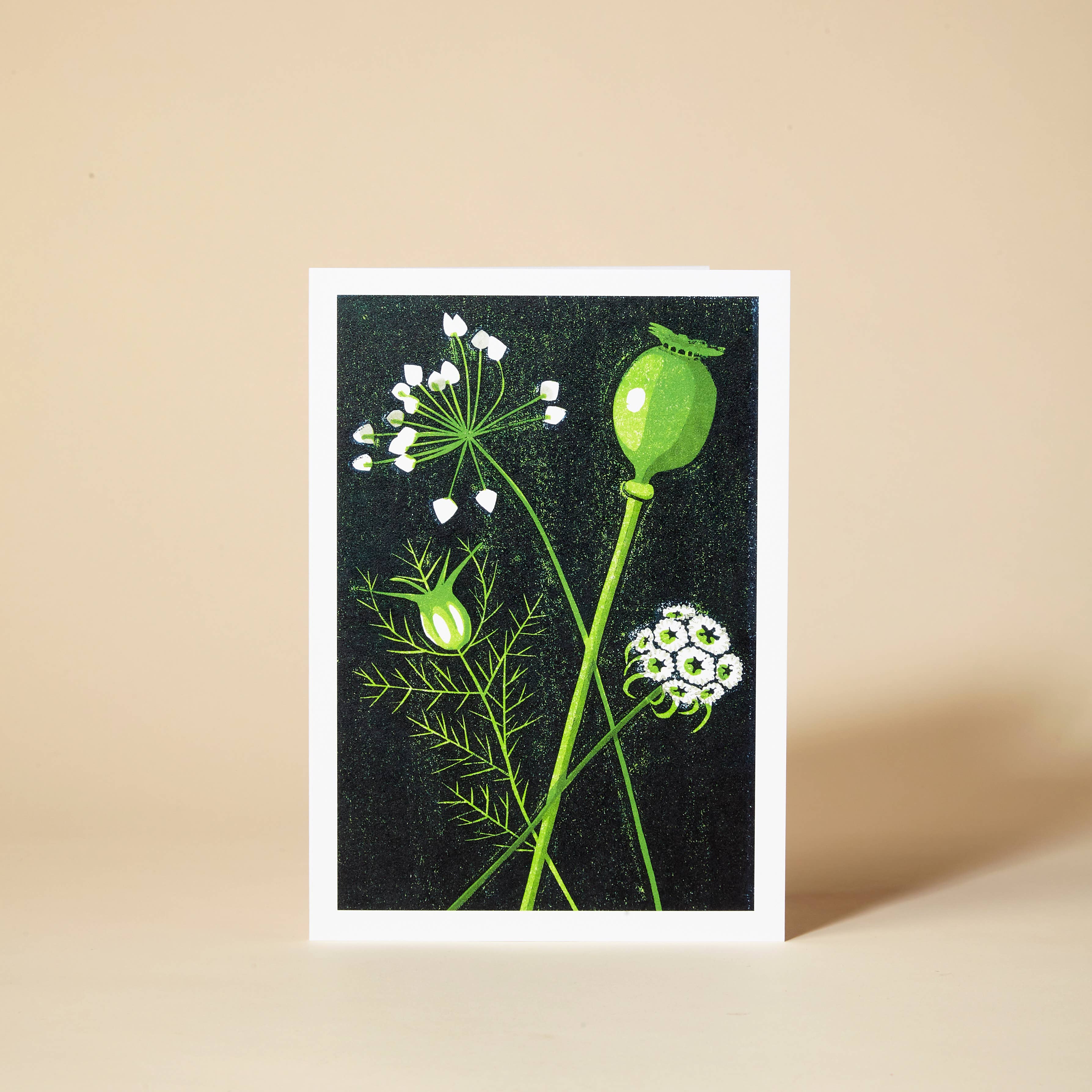 Pressed and Folded – wholesale Everyday greeting card – Seed Heads Greeting Card
