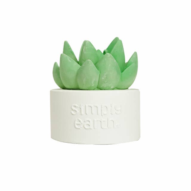 Simply Earth - Wholesale Electronic Diffuser - Succulent Essential Oil Diffuser2