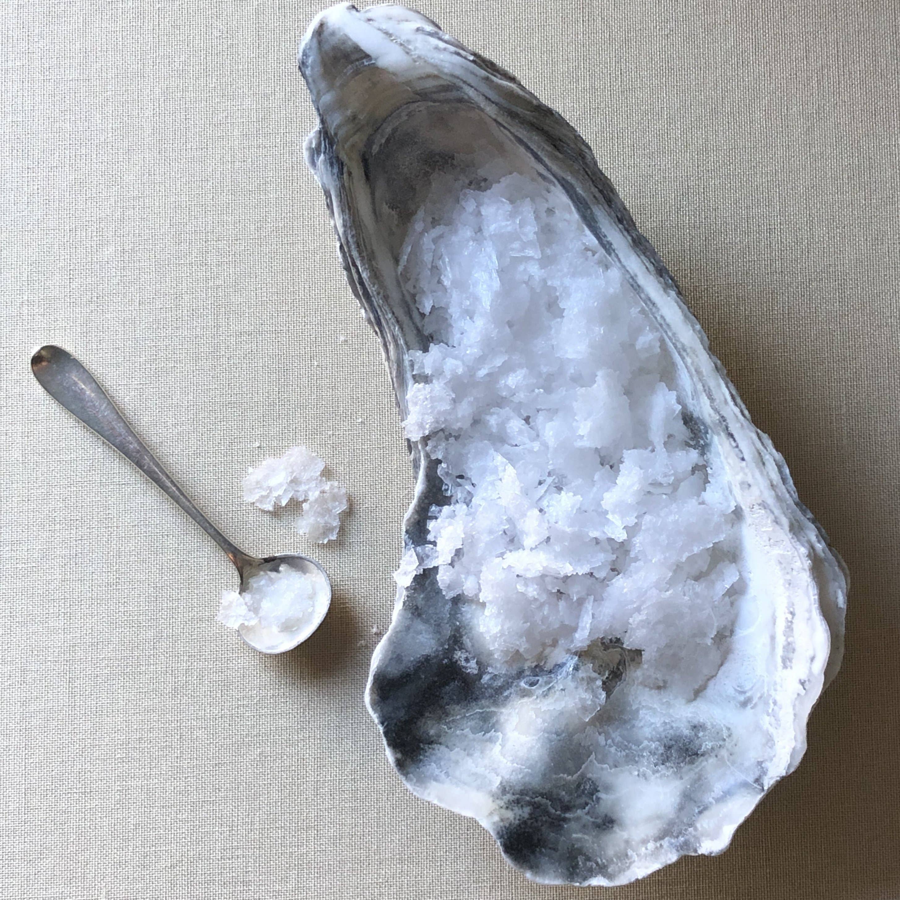 Barrier Islands Salt Co. - Vente Sel - Sel de mer pur en flocons4