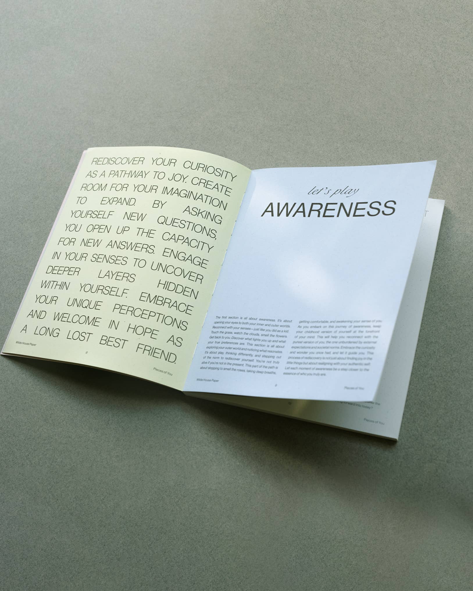 Wilde House Paper - Wholesale Journal/Diary - Pieces of You Journal6