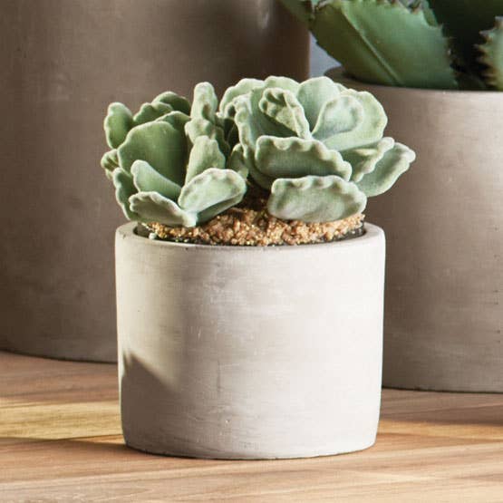 Napa Home & Garden - Wholesale Plant Pot - Concrete Pipe Cachepot 4.5"2