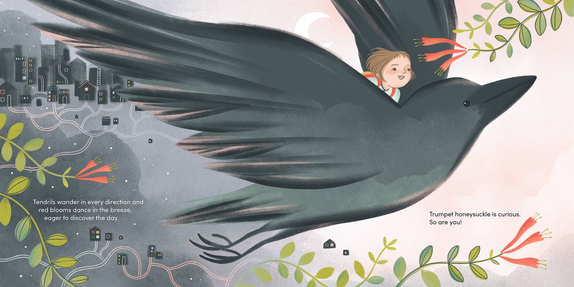 Hachette Book Group - Wholesale Preschool Book (3-5) - Brave Like Fireweed by Jesse White2