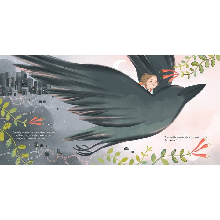 Hachette Book Group - Wholesale Preschool Book (3-5) - Brave Like Fireweed by Jesse White2