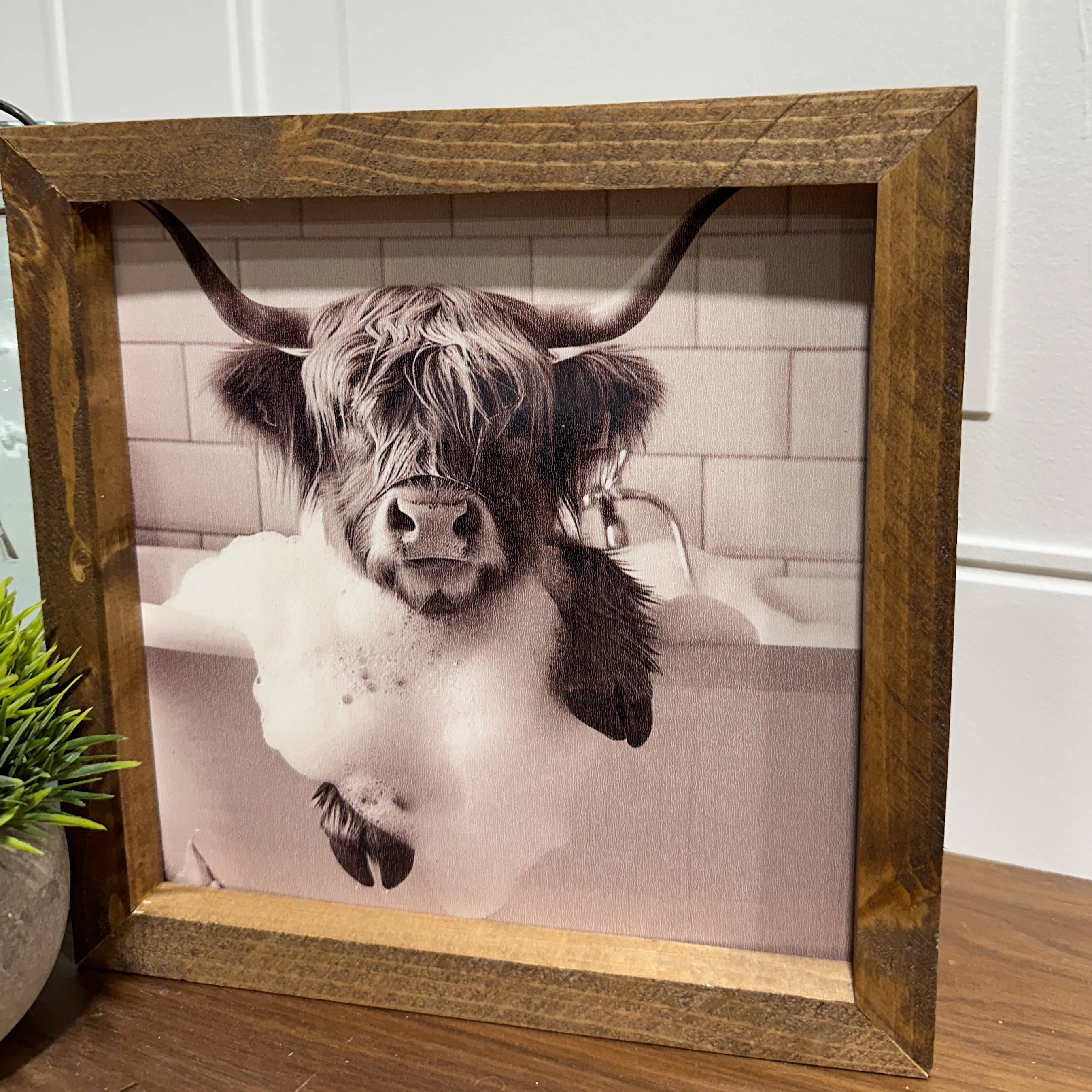 The Broken Board - Venta al por mayor Ilustración - Vaca Highland sumergida en la bañera4