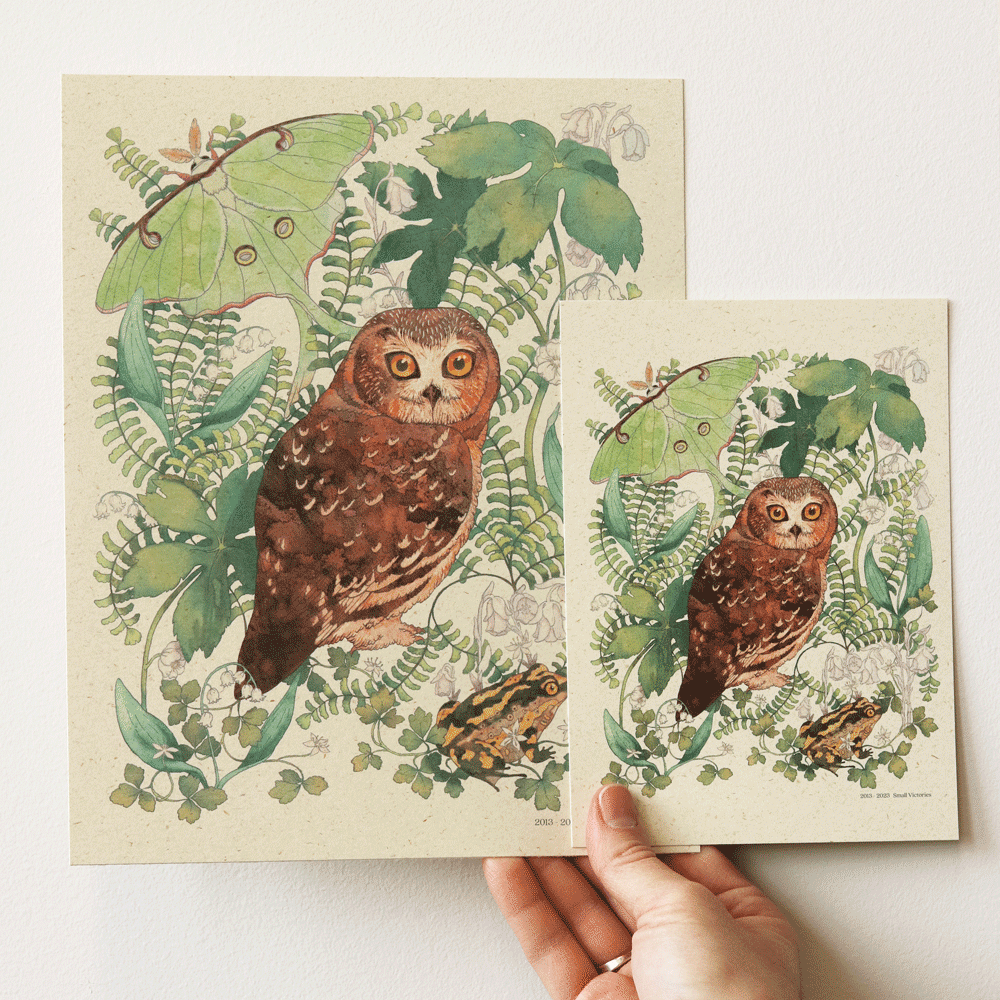 Small Victories - Wholesale Art Print - Moonlit Forest Print - Northern Saw-whet Owl2