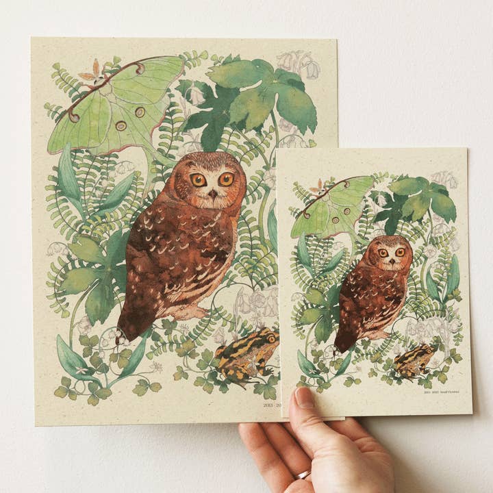 Small Victories - Wholesale Art Print - Moonlit Forest Print - Northern Saw-whet Owl2