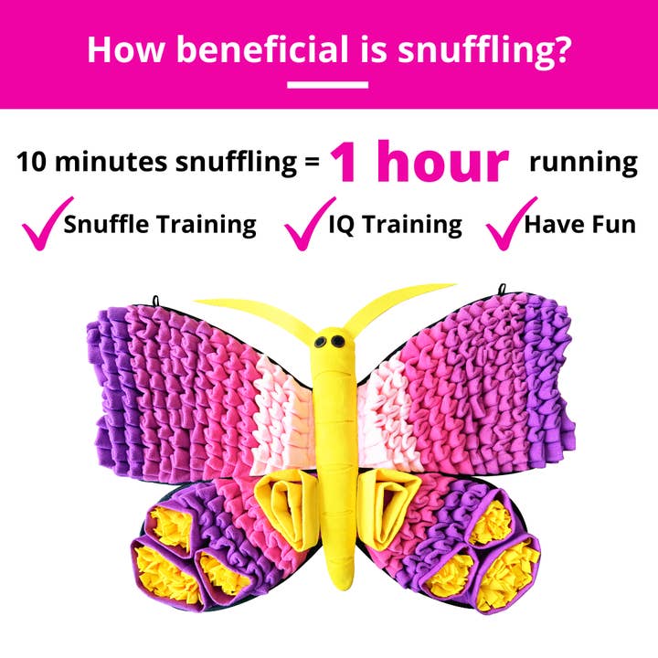 PawzNDogz - Wholesale Pet Mat - Dog - Radiant Butterfly™ Snuffle Mat | Challenge Level 32