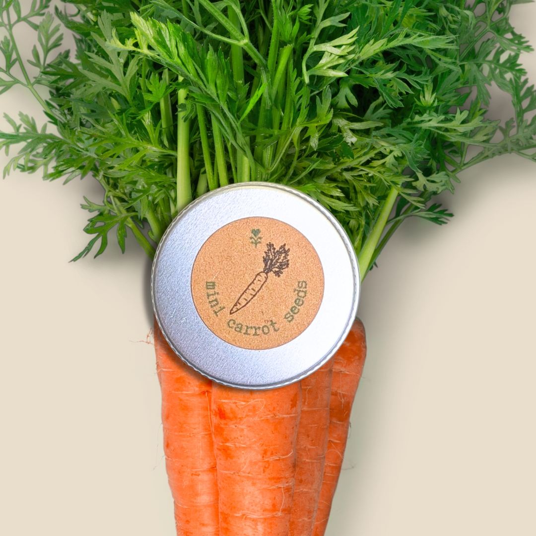 Plantflix - Wholesale Plant Seeds - Organic Vegetable Seed Gift Tins12