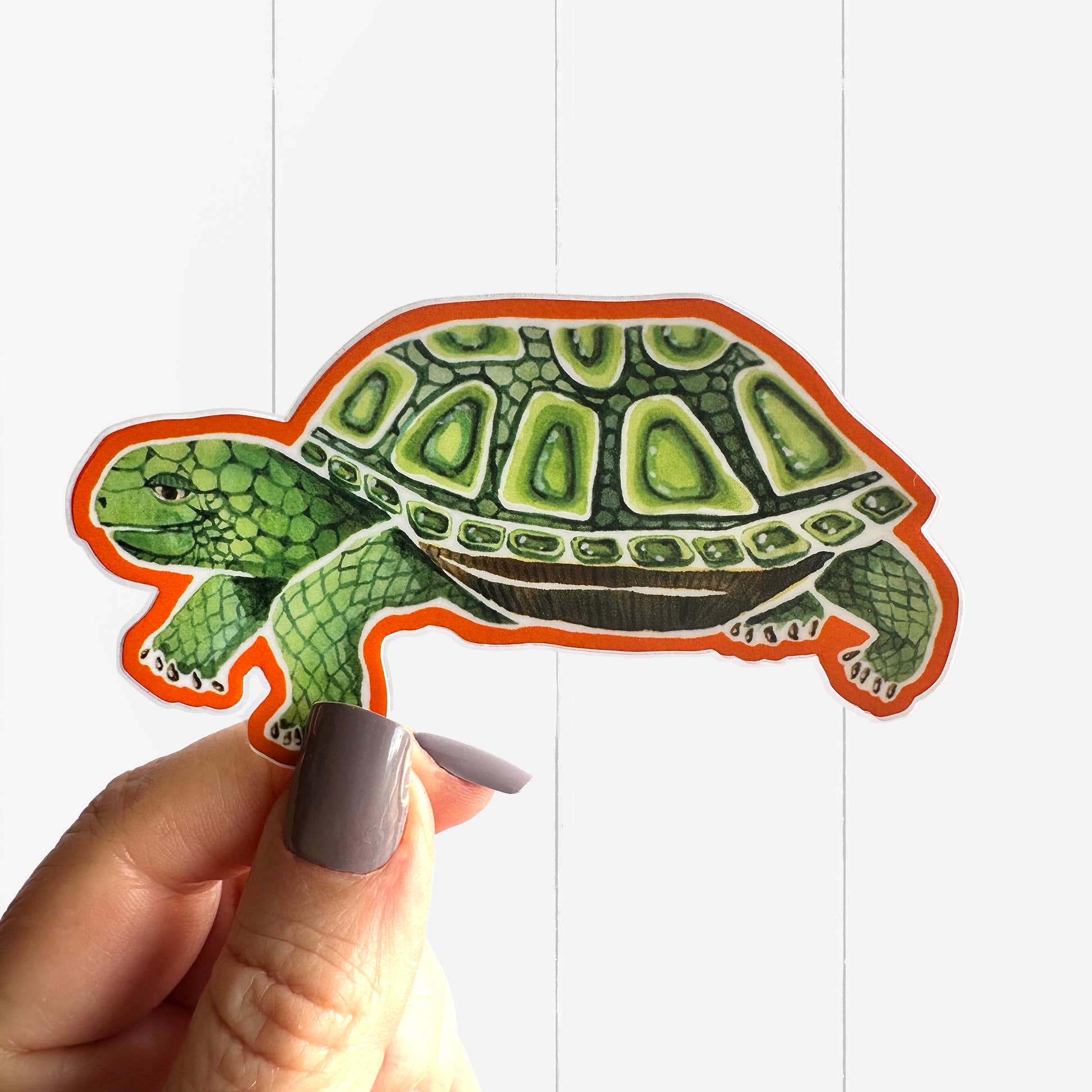 Mary M Spencer Design - Wholesale Sticker - Turtle Diecut Vinyl Sticker0