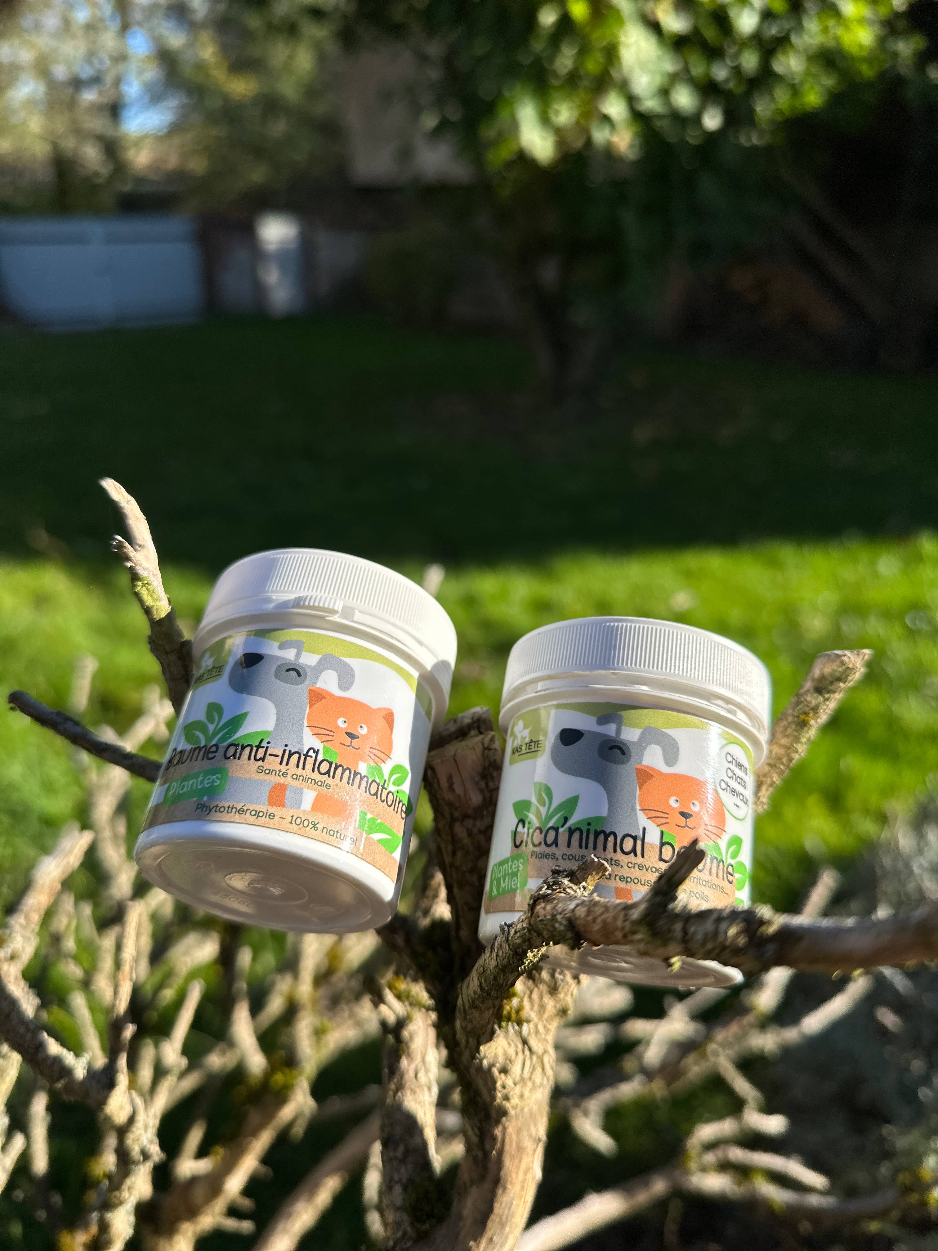 Kas Tête - Wholesale Pet Balm - Dog - Anti-inflammatory balm 80g1