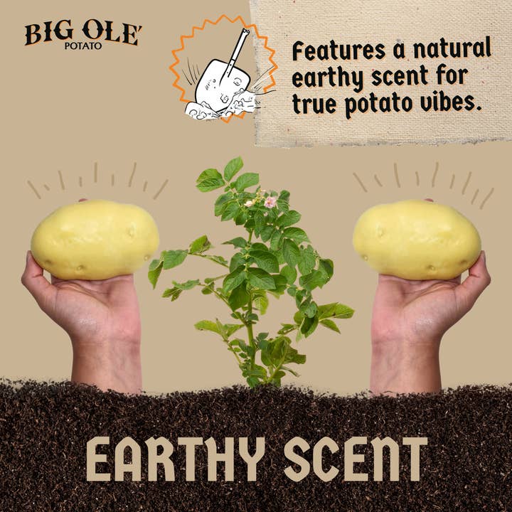 Sleazy Greetings - Vente Cadeau amusant/original - Big Ole Potato - Savon cadeau en forme de pomme de terre en forme de bâillon 9,10 oz4