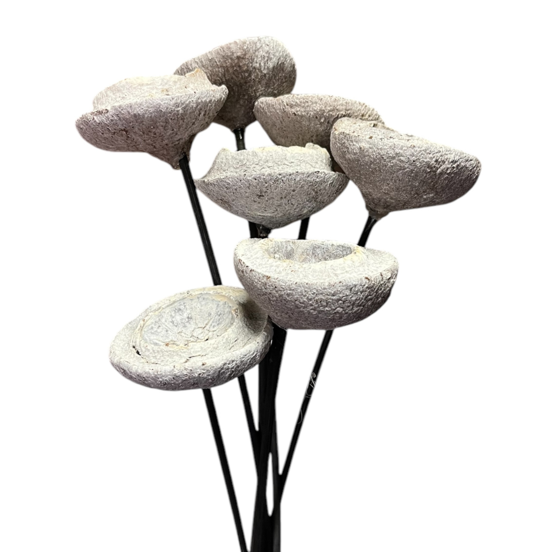 Botanico Ltd. - Wholesale Artificial Flowers - Chapeuzihno Pods 0