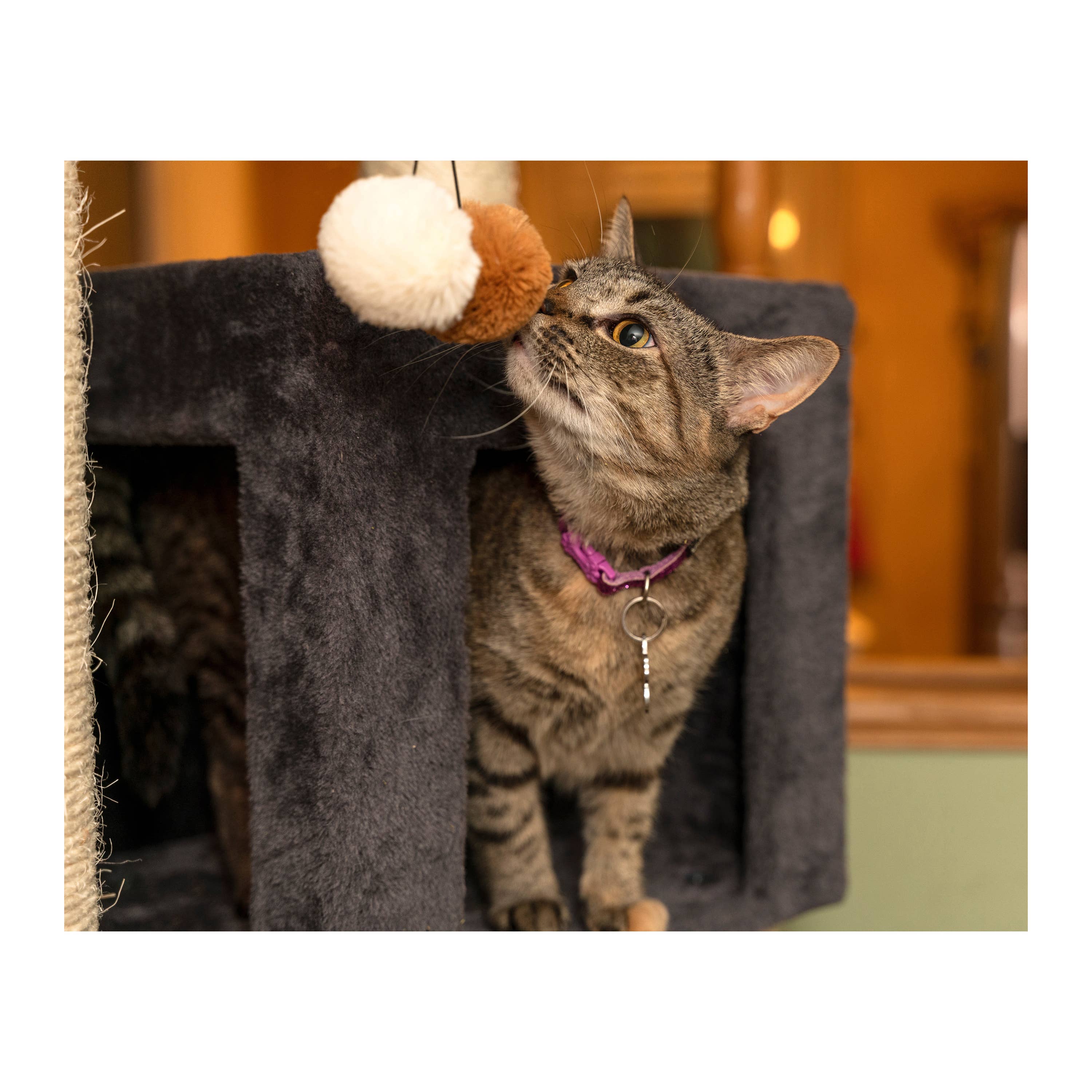 Armarkat - Wholesale Pet Scratcher - Cat - Griant Multi-Level Cat Scratcher Tower5