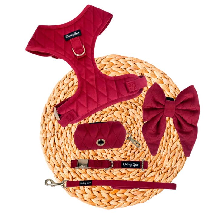 Pup Wishes Red Velvet Dog Walking Matching Harness Set- Limited Edition for wholesale by Daizzy Gear