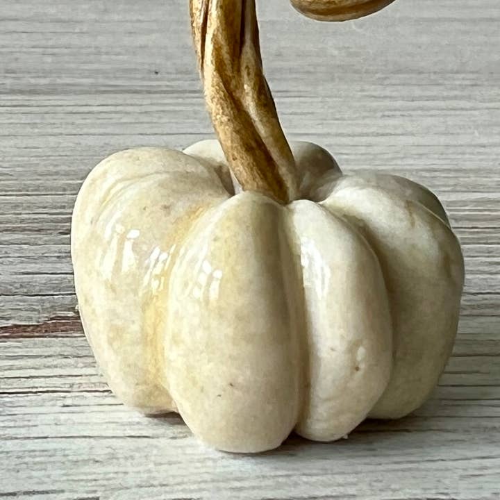 Mother Potter - Wholesale Decorative Tabletop Object - Mini ceramic pumpkins
