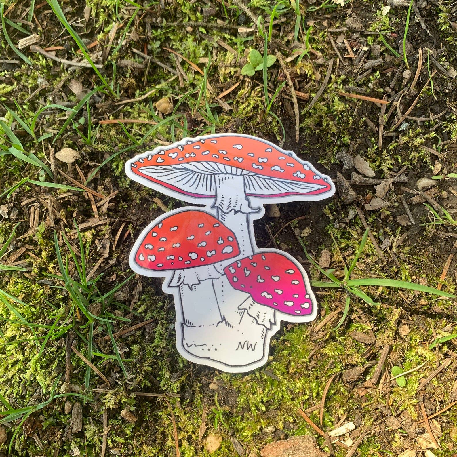 Nature Walk - Wholesale Sticker - Amanita Mushrooms Decal2