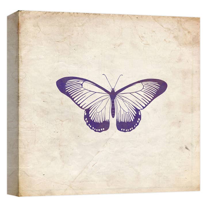 Deep Purple Butterfly 22'' x 22'' Canvas Wall Art for wholesale by PTM Images