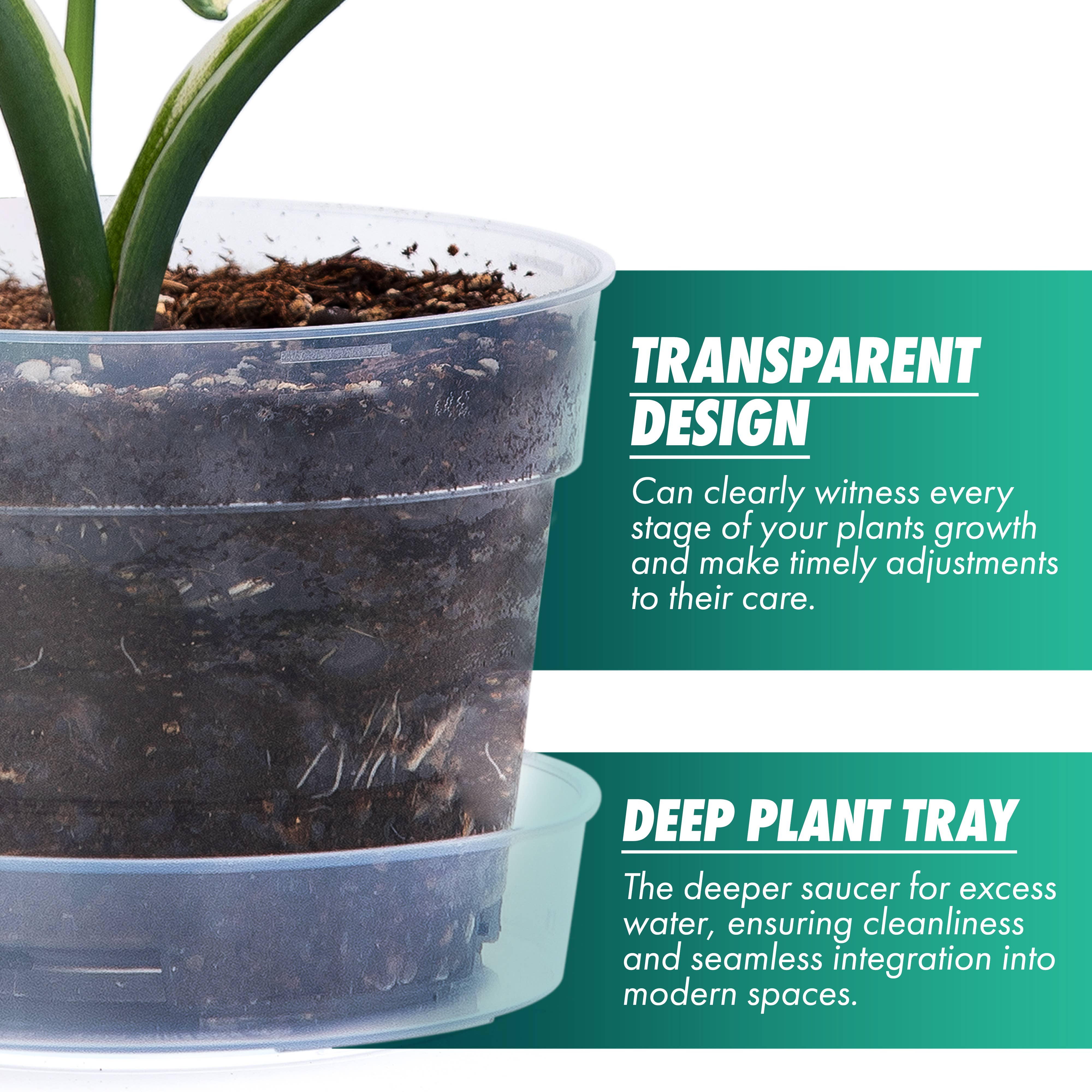 D'VINE DEV - Wholesale Plant Pot - Clear Nursery Pot with an Interlocking Saucer, 6" X 4.25"5