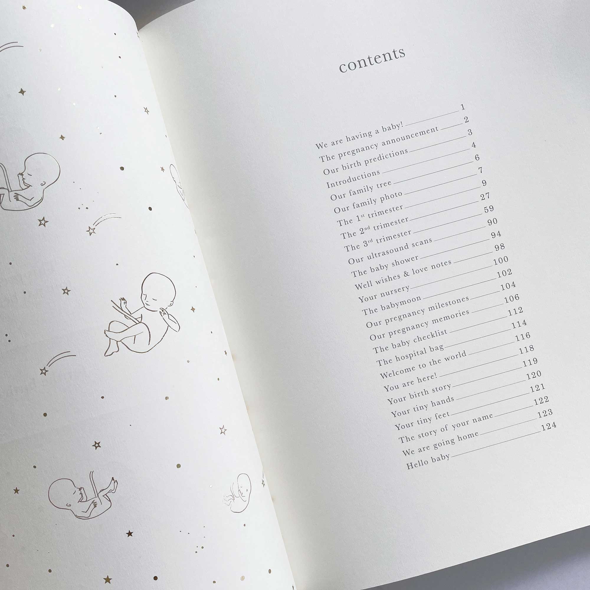 Blush And Gold - Wholesale Journal/Diary - Maternity - My Pregnancy Journal - Safari with Gilded Edges17