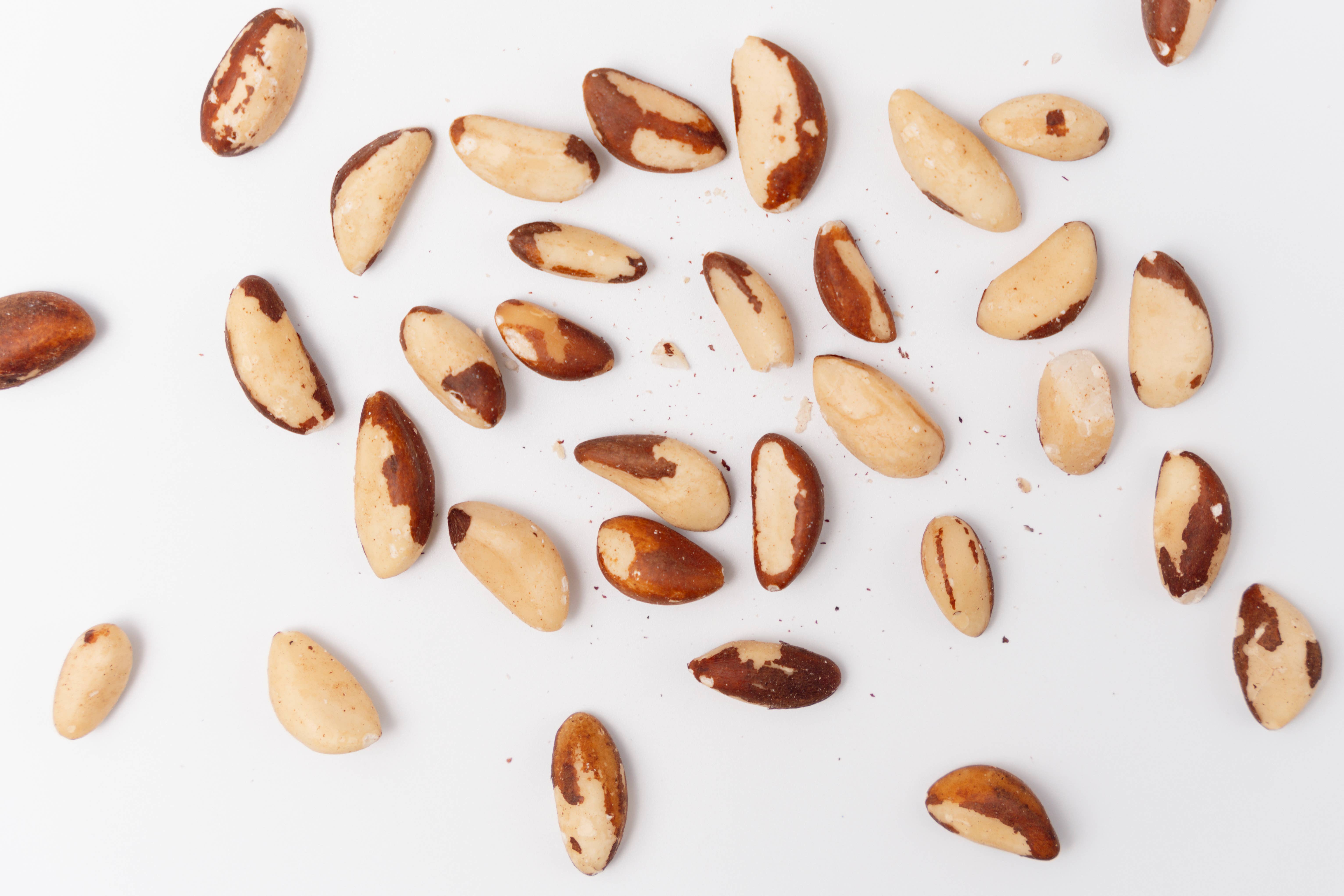 Agnellini Int Srl – wholesale Nuts – 100% natural shelled Amazon Organic Walnuts 1.5kg1