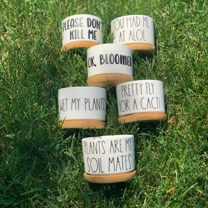 Peach Tree Design Shop - Wholesale Plant Pot - Funny Mini Planters, Punny Plant Pot, Cute Succulent Planter4