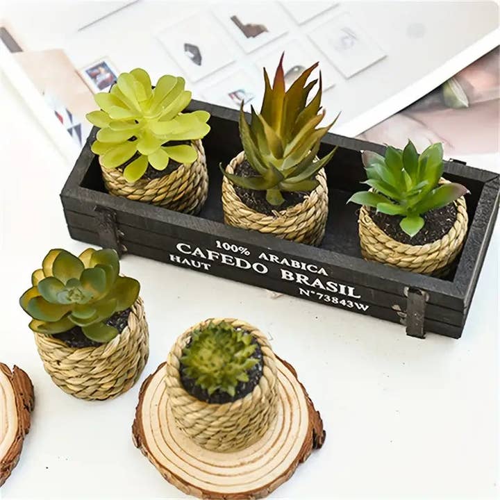 Huis Van Merken - Wholesale Succulent - Artificial Succulents Set - Potted Plants, Indoor/Outdoor Decor2