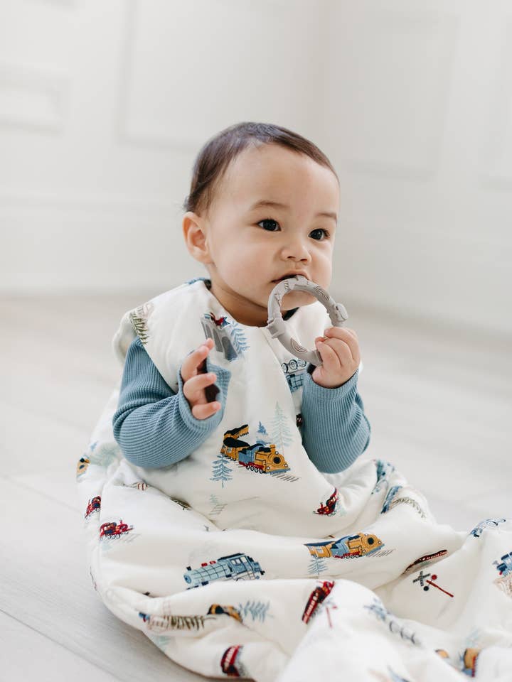 Tencel Sleep Bag 2.5 TOG - All Aboard for wholesale by Loulou Lollipop