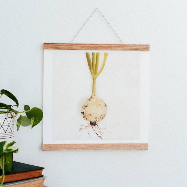 Single Onion Vegetable Art Print for wholesale by Come Alive Studio