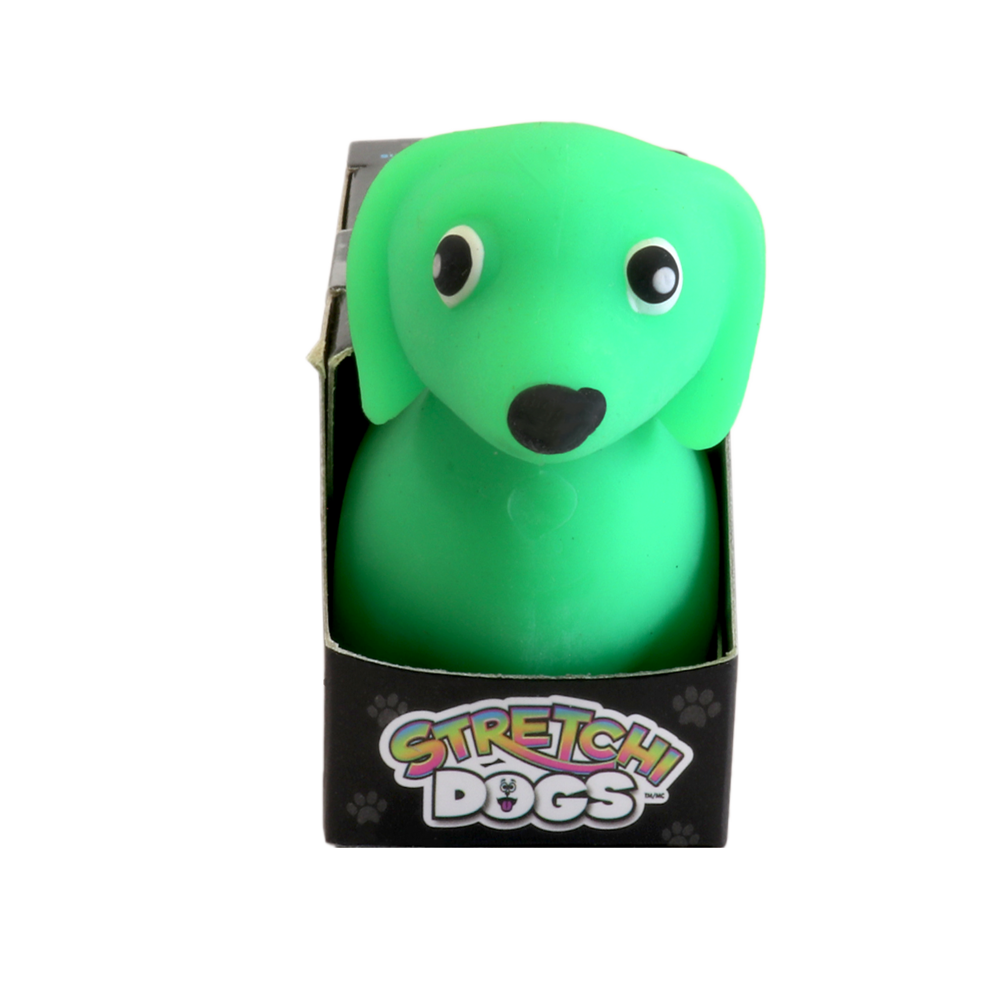 Incredible Group - Wholesale Fidget Toy - Kids - Stretchi Dogs8
