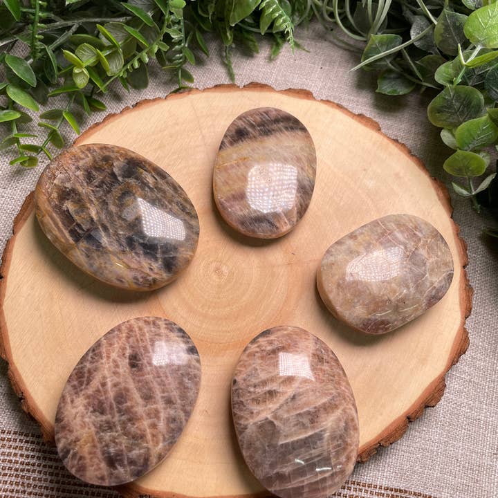 Copper Ashes – wholesale Andlig sten/kristall – Svart Moonstone Palm Stone