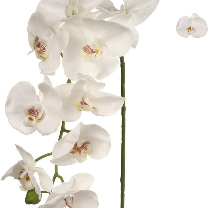 White Artificial Orchid Stems Phalaenopsis Flowers, 49" and other Purchase Wholesale artificial orchid stems. Free Returns & Net 60 Terms on Faire trending on Faire.