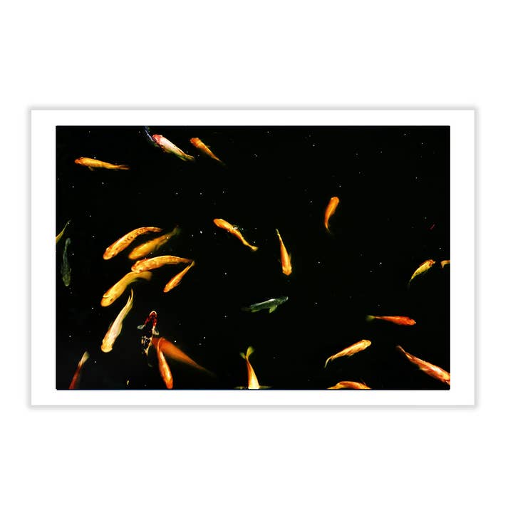 Cartão Postal de Fotografia de Belas Artes - Peixe Koi por atacado de Sixtyeightcolors