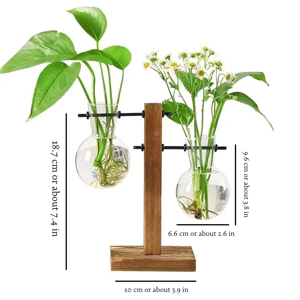 Moderny – wholesale Planter box – Wooden Hydroponic Planter5
