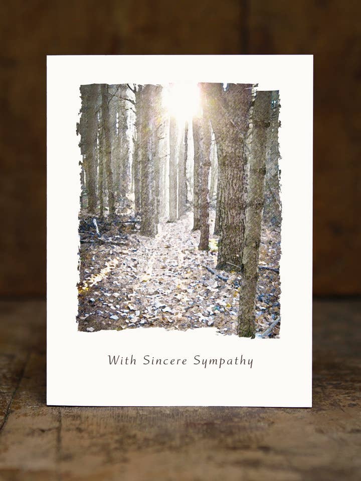 Woods With Ray Of Light for wholesale by Sugarhill Card Co