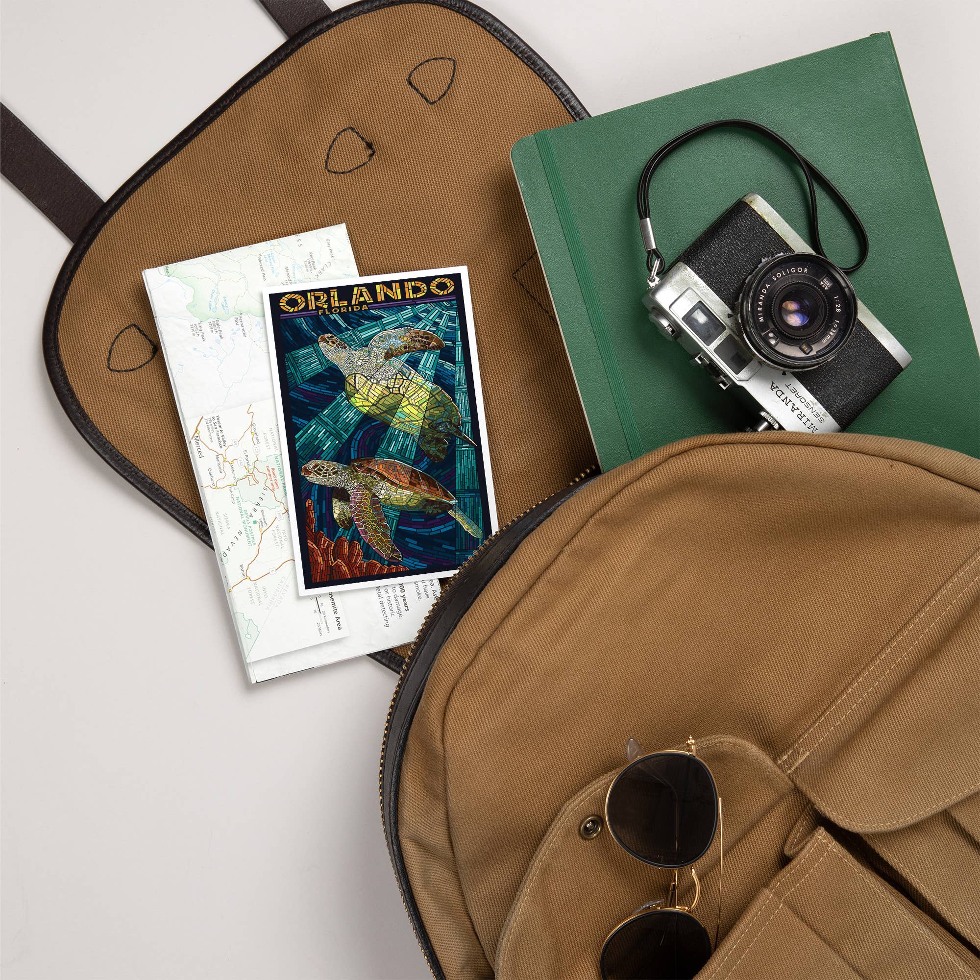 Lantern Press - Wholesale Postcard - PREMIUM POSTCARDS Orlando, Florida, Sea Turtle, Mosaic5