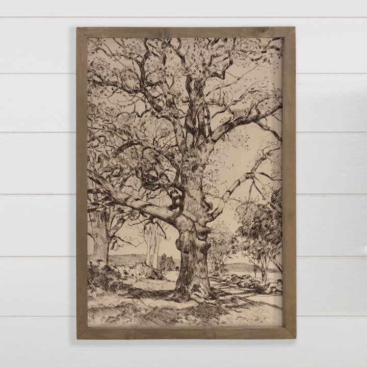 Twisted Oak Tree - Vintage Tree Sketch Canvas Art - Framed for wholesale by Hangout Home