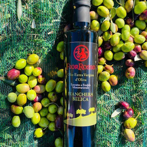 FIOR ROSSO - Venta al por mayor Aceite de oliva - Aceite de oliva virgen extra afrutado - Etiqueta negra - 500ml