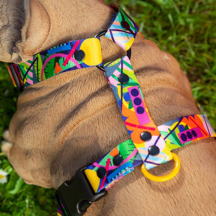 Kalejdogscope HARNESS för wholesale av Mind the Fluff