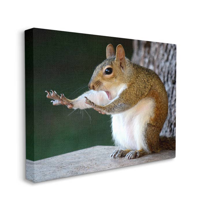 Stupell Industries – wholesale Art print – Funny Shocked Pose Squirrel Canvas Art6