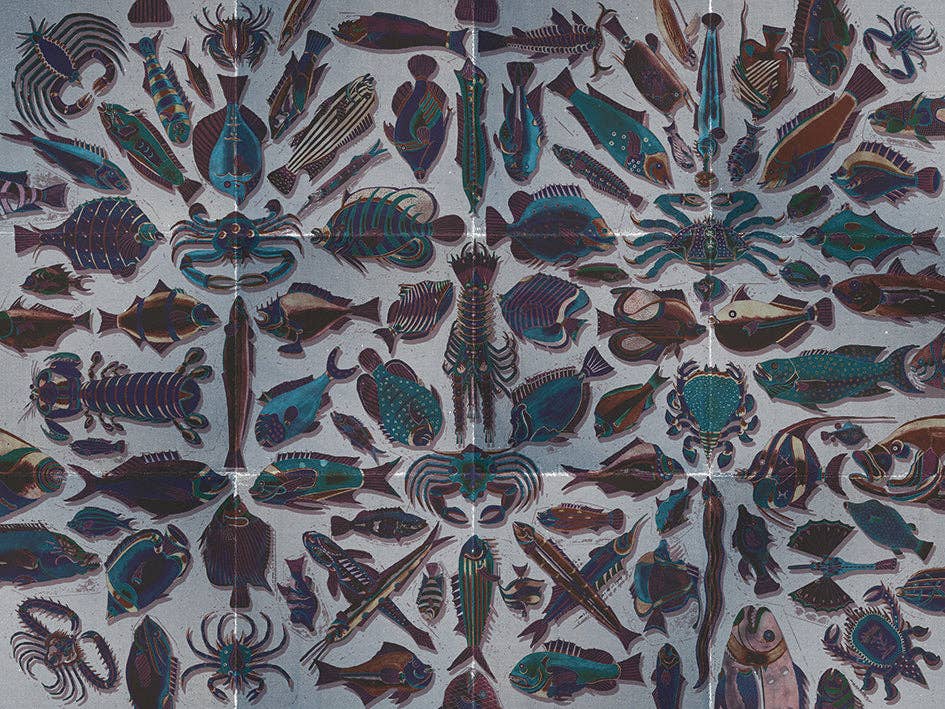 Quinsaï - Wholesale Wallpaper - Mangi fish0