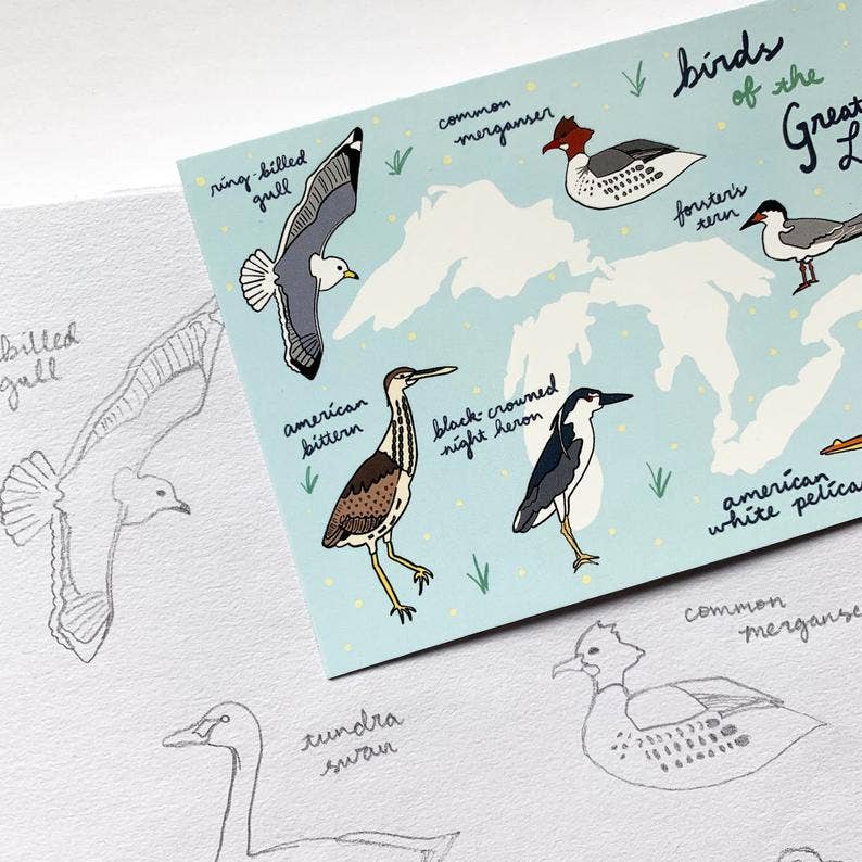 Made by Nilina - Wholesale Postcard - Great Lakes Birds Postcard - Ohio, Michigan Souvenir2