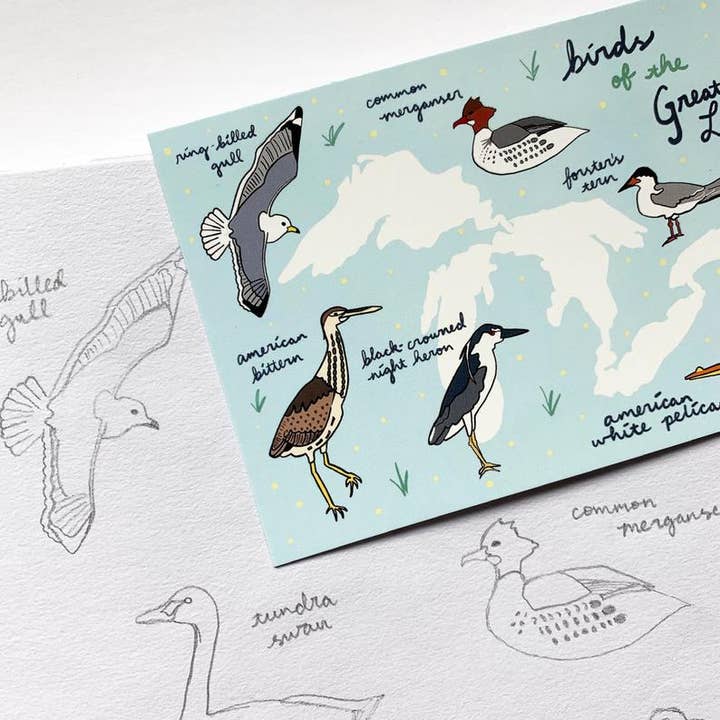 Made by Nilina - Wholesale Postcard - Great Lakes Birds Postcard - Ohio, Michigan Souvenir2