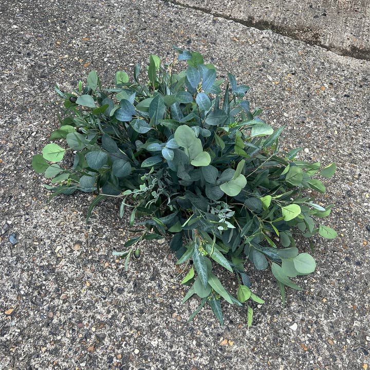 IVY CRUZ - Wholesale Artificial Flowers - Foliage Aisle Floor Piece, Wedding Aisle Flower Arrangement2