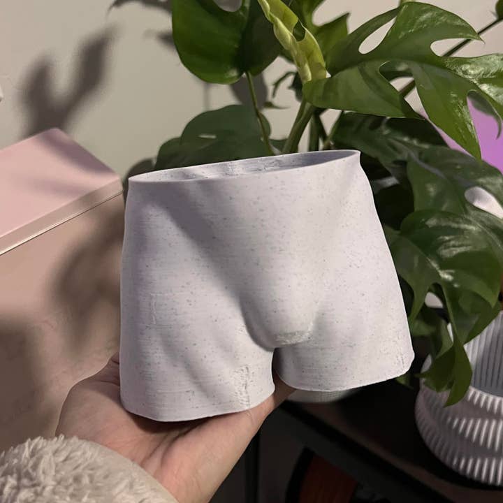 Peachy Pilea - Wholesale Plant Pot - Muscle Daddy Butt Planter | More Sizes + Colors Available3