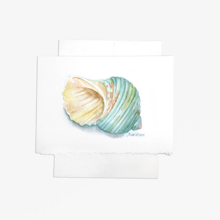 Carte de voeux aquarelle vert Turban Seashell pour la vente par Susan Windsor