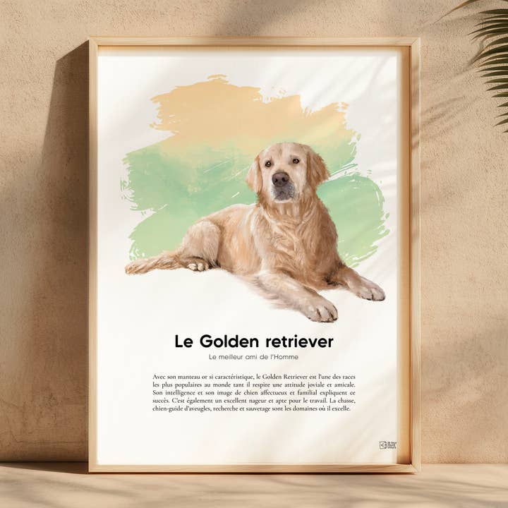Affiche Golden Retriever〚Édition Limitée & certifiée 〛 pour la vente par le murmure des murs