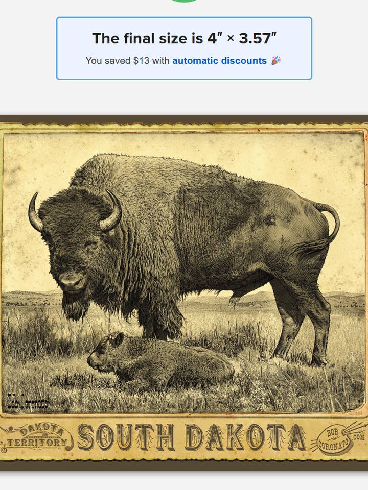 Buffel & Kalv: South Dakota (Klistermärke)-Vintage Kabinettkort för wholesale av Black Hills Curio Co.-Bob Coronato Licensed Home Décor