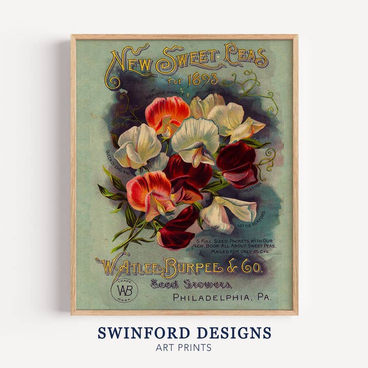 Vintage Seed Pack Art Print - Burpees Sweet Pea Spring Decor for wholesale by Swinford Designs